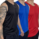 Kit 3 Camisetas Regatas Esportiva - SportxTen | Dom Conrado